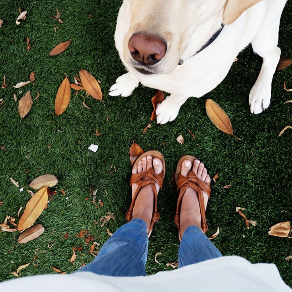 Chambray Jogger Pants